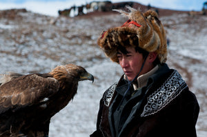 The Golden Eagle, king of the birds