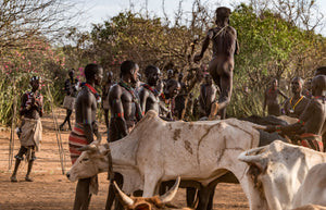 Adolescent ceremony, running on buffalos