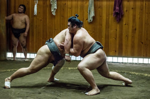 Sumo wrestlers training in their stables